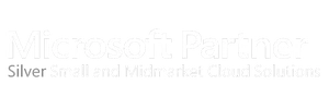 Microsoft partner